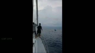 Seminggu Terapung di Laut, Pria Meksiko Diselamatkan Camar, Penyu dan Kotak Gabus