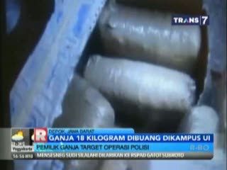 Pemilik 18 Kg Ganja yang Dibuang Di Kampus UI Milik Bandar Narkoba