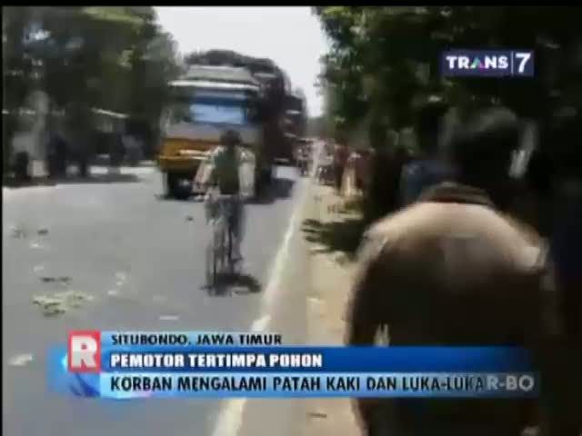 Pemotor Tertimpa Pohon
