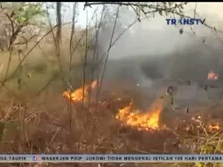 Turis Asing Ikut Padamkan Kebakaran Hutan di Gunung Ijen