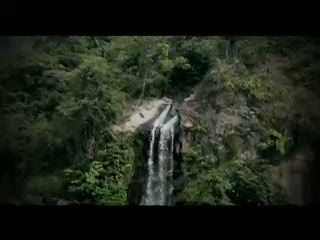 Drama Penangkapan Ular di Depok dan Sentul 