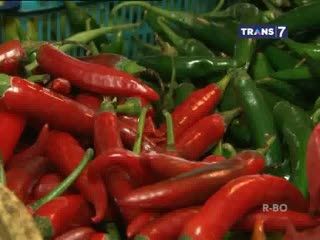 Harga Cabai Makin Pedas