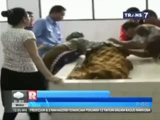 Rencana Korban Perampokan untuk Menikah Pupus