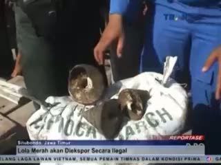 Polairud Gagalkan Pengiriman Biota Laut Langka