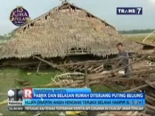 Cuaca Ekstrim, Pohon di Kebun Raya Bogor Tumbang