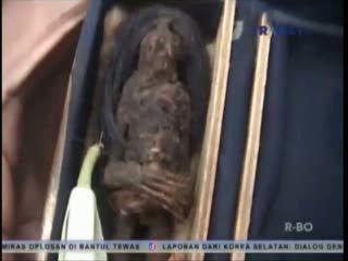 Seperti Ini Bentuk Jenglot yang Menggegerkan Warga di Situbondo