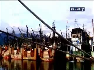TNI AL Tangkap 8 Kapal Pencuri Ikan
