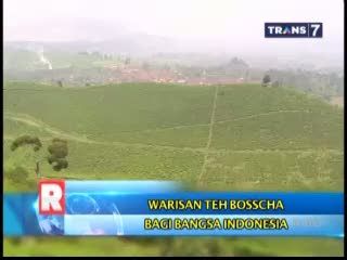 Warisan Teh Bosscha Bagi Bangsa Indonesia