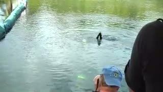 73 Hari Memberi Kuliah dari Bawah Air