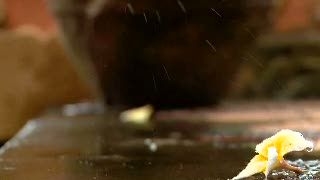 Berkah APEC, Kain Tenun Endek Laris Manis