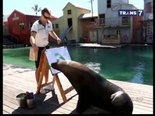 Ketika Singa Laut Berolahraga dan Melukis
