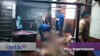 Video Penjagalan Anjing di Tiongkok Picu Keprihatinan