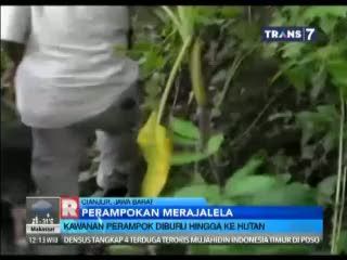 Kawanan Perampok Diburu Hingga ke Hutan