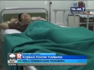 Korban Pohon Tumbang Terbebani Biaya Pengobatan