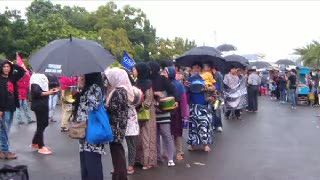 8 Tahun Berdiri di Depan Istana