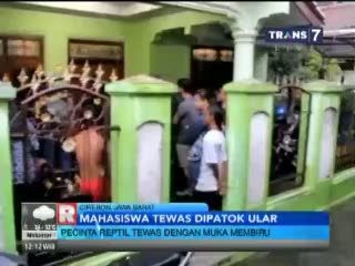 Pencinta Reptil Tewas Dipatok Ular