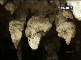 Pesona Batu Akik Pacitan