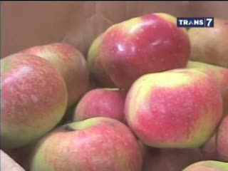 Bahaya Apel Impor Bisa Memicu Kematian