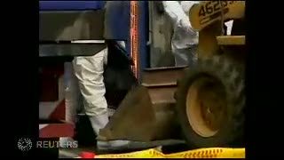 Cegah Penyebaran Flu Burung, Taiwan Musnahkan 1,3 Juta Unggas