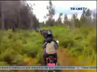 Polisi Kehutanan Memburu Penambang Emas Ilegal