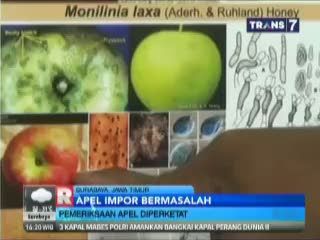 Pemeriksaan Apel Impor Diperketat