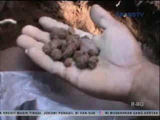 Batu Bungur, Batu Akik Populer dari Tanjung Bintang