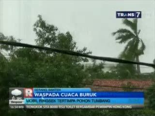 Mobil Ringsek Tertimpa Pohon Tumbang