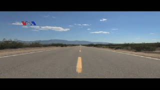 Tumbuhan Liar Bantu Ketahanan Pangan Masa Depan