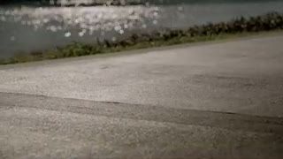 Robot Tomat, Sahabat Pelari Marathon