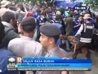 Polisi Bubarkan Demo Buruh dengan Anjing