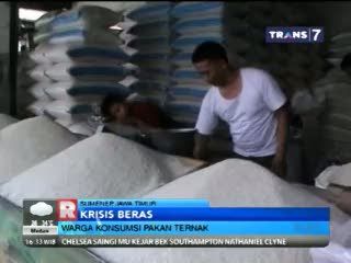 Krisis Beras, Warga Konsumsi Beras Tak Layak hingga Pakan Ternak