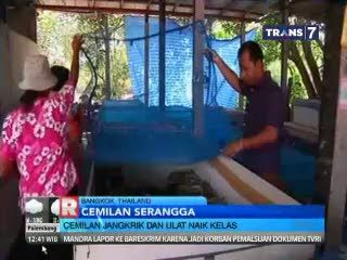Cemilan Serangga Nan Nikmat