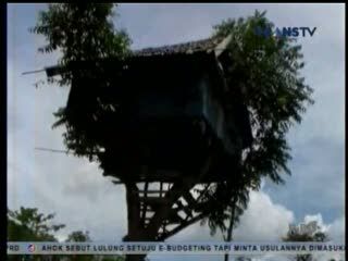 Keluarga Ini Hidup Memprihatinkan di Atas Pohon Setinggi 8 Meter