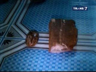Mengenal Batu Akik Fosil Kayu yang Bertuah