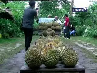 Yuk Makan Durian Gratis Sepuasnya di Sini!