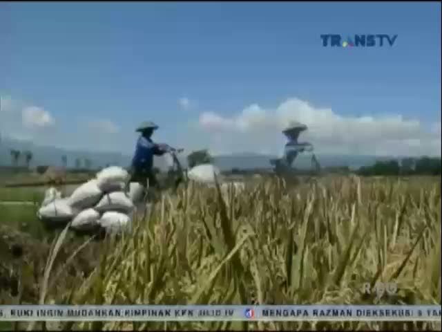 Polemik Traktor Petani