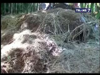 Gundukan Tanah Misterius Berisi Tulang Belulang Digali Setelah 15 Tahun