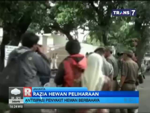 Razia Hewan Peliharaan