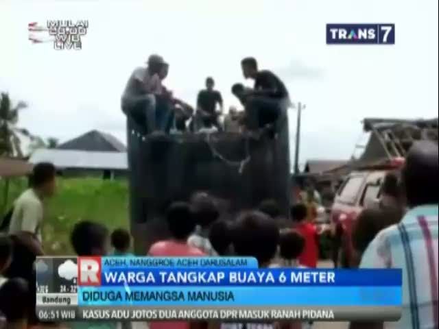 Warga Aceh Tangkap Buaya Sepanjang 6 Meter