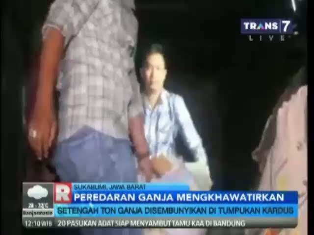 Setengah Ton Ganja Disembunyikan di Tumpukan Kardus
