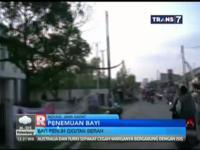 Bayi Mungil Dibuang di Ilalang