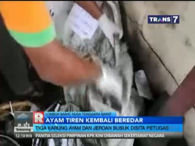 Ayam Tiren Kembali Beredar