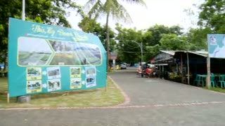 Menengok Pantai Boom, Calon Marina Bay Banyuwangi