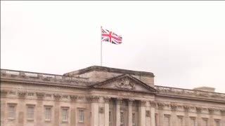 Bayi Pasangan Kate dan William Lahir, Turis Bergembira di Depan Kensington Palace