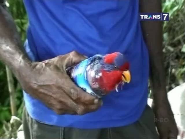 Selundupkan Burung Kakaktua Dalam Botol Air Mineral