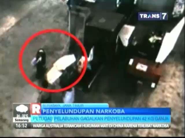 Polisi Buru Perempuan Pembawa Ganja di KM Dobonsolo