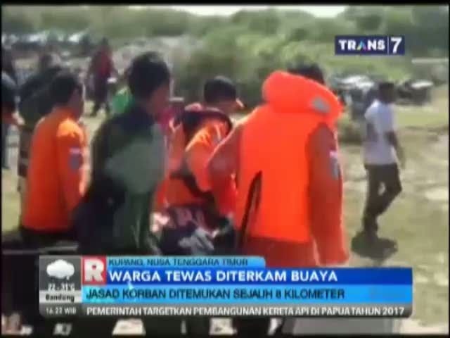 Tragis! Seorang Warga Tewas Diterkam Buaya