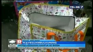 Save Jambul Kuning Jadi Trending Topic