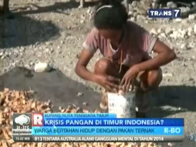 Krisis Pangan Melanda Kupang, NTT