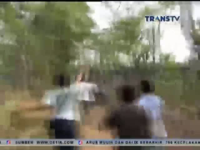 Judi Sabung Ayam Beromzet Puluhan Juta